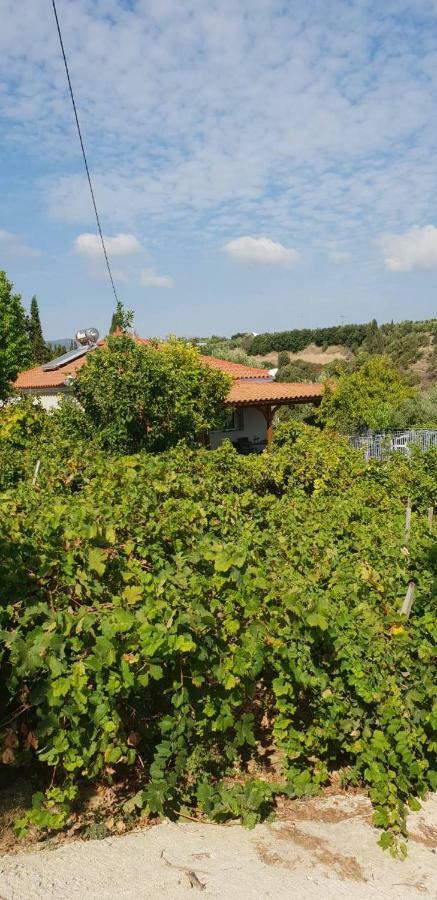 Guesthouse Agia Triada Корони Экстерьер фото